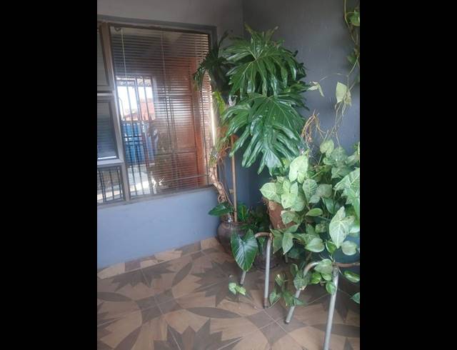 3 BEDROOM HOUSE FOR SALE IN SIMUNYE